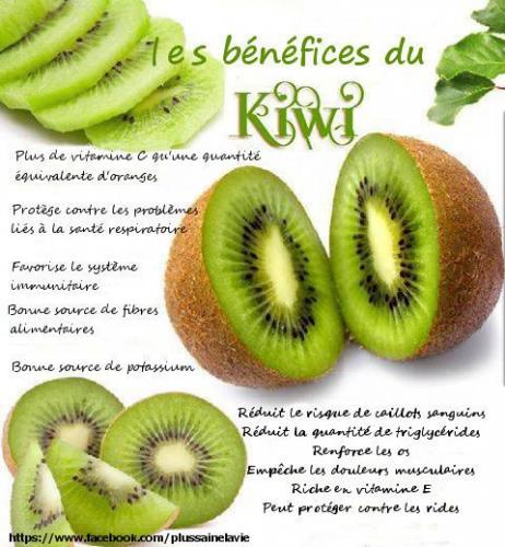 Kiwi