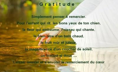 La puissance de la gratitude