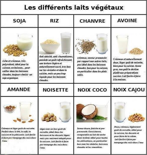 Laits vegetaux