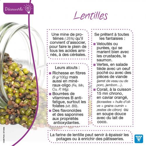 Lentilles