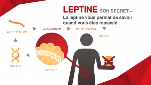 Leptine