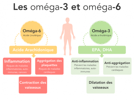 Les omega 3 et omega 6