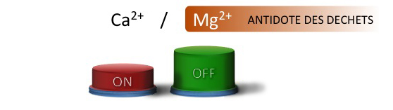 Magnesium bouton on off