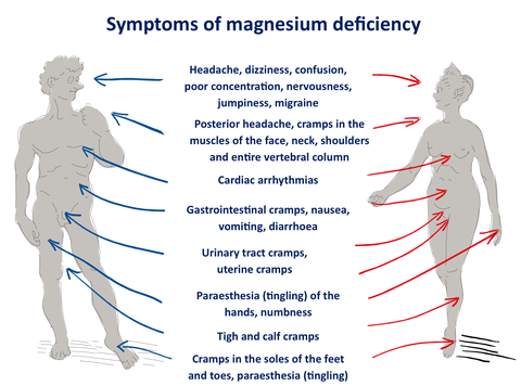 Magnesium deficiency1 large