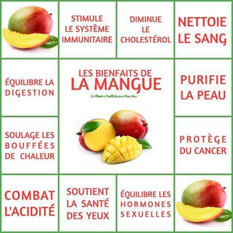 Mangue