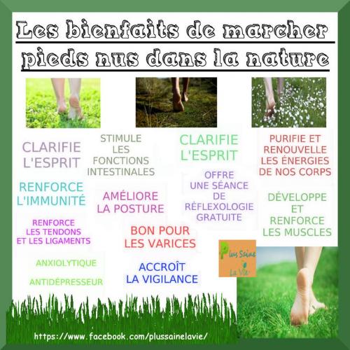 National la recette de limpuissance