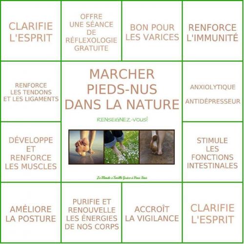 Les liqueurs du ginseng pour laugmentation de la puissance