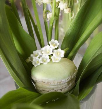 Muguet macaron