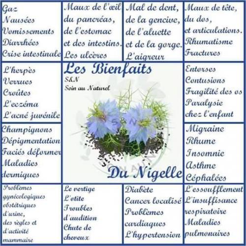 Nigelle