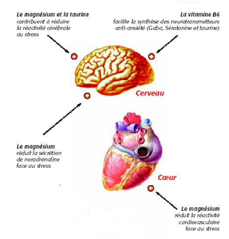 Pido mag effets