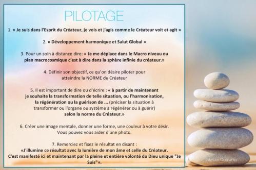 Pilotage 1