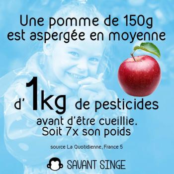 Pomme pesticides