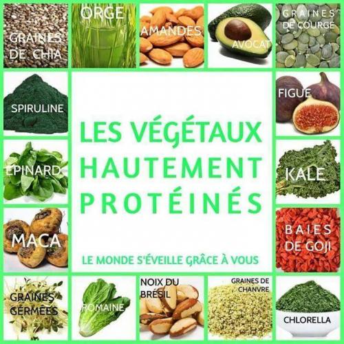 Comme accepter correctement les gouttes le marteau tora à