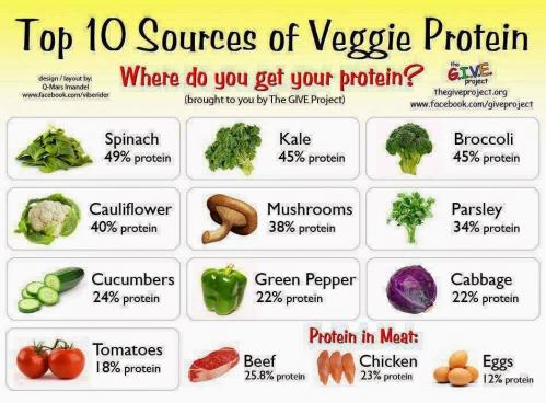 Proteines vege