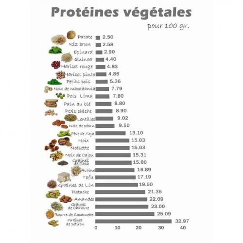 Proteines vegetales