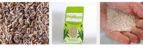 Psyllium blond intestins