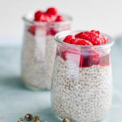 Psyllium pudding