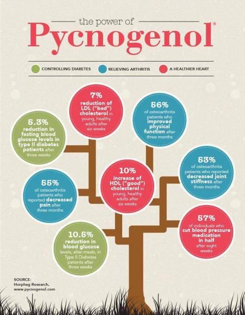 Pycnogenol effets