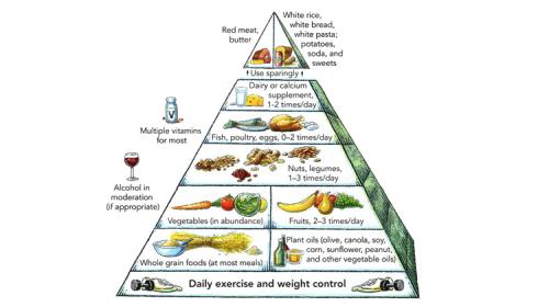 Pyramide alimentaire vivante