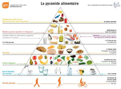 Pyramide alimentaire