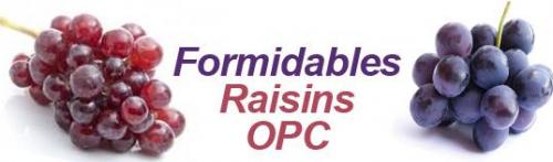 Raisin opc 2