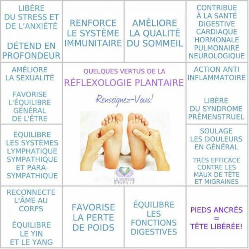 Reflexologie plantaire 1