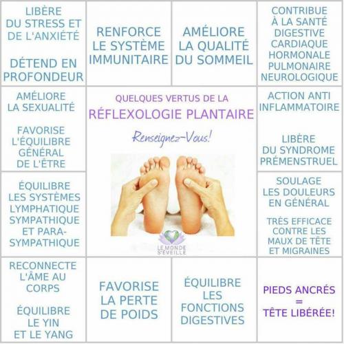 Reflexologie plantaire 1