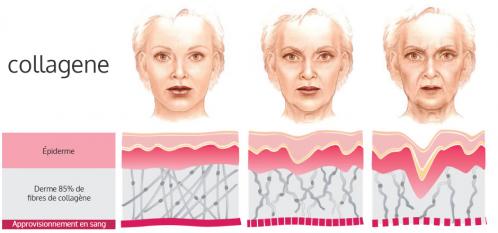 Rides et collagene
