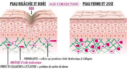 Rides et peau