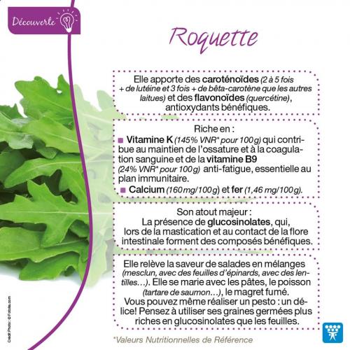 Roquette