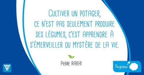 Sagesse 1