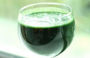 Spiruline energisante