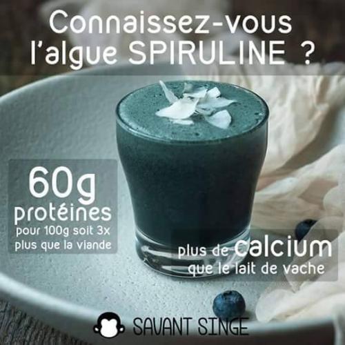 Spiruline1