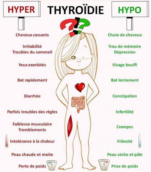 Thyroide 1