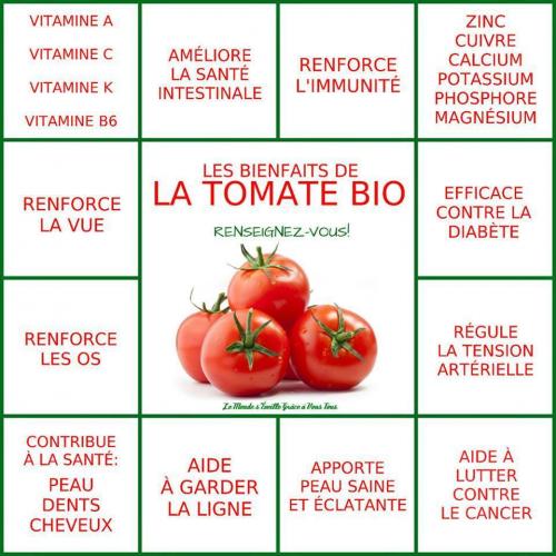 Tomate