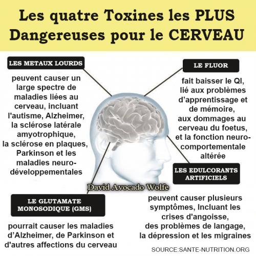 Toxines cerveau 1