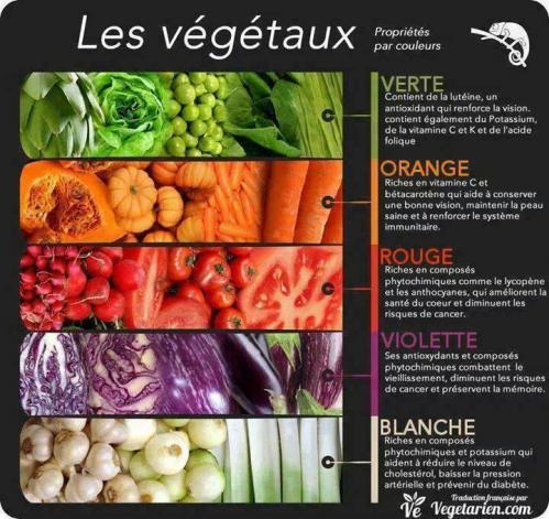 Vegetaux