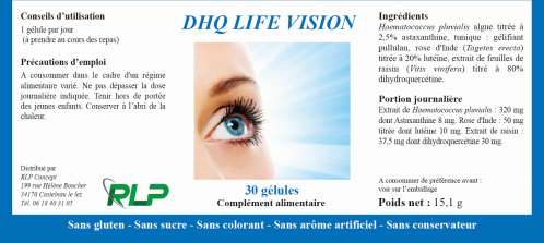 Vision1