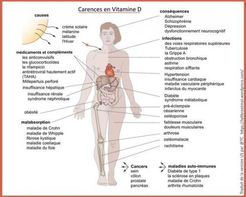 Vitamine d carences