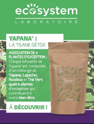 Yapana tisane