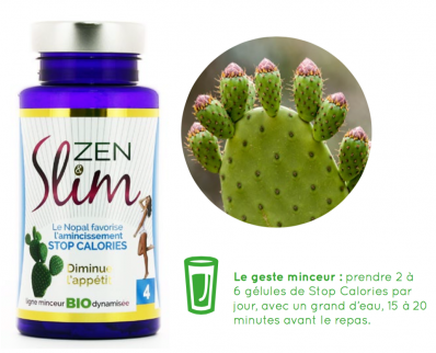 Zen et slim nopal