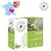 Gemmo draine 1