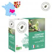 Gemmotherapie intestin