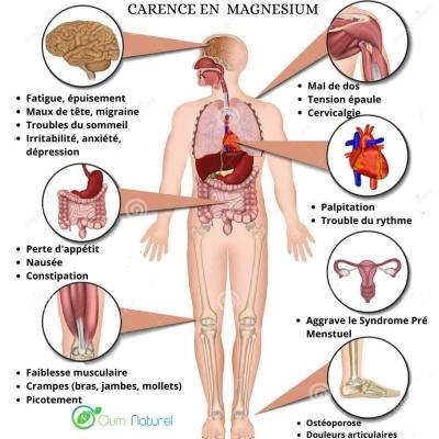 Magnesium carence