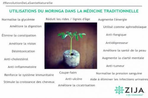 Moringa bienfaits